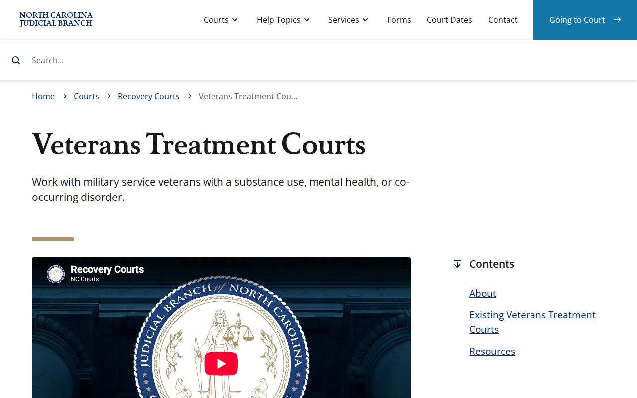 Harnett County criminal docket search Veterans Treatment Court records